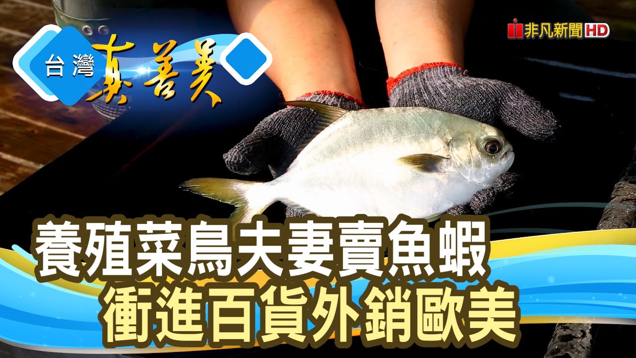 &ldquo;七年級漁民&rdquo;賣百貨外銷｜一夫水產｜【台灣真善美】2023.04.23