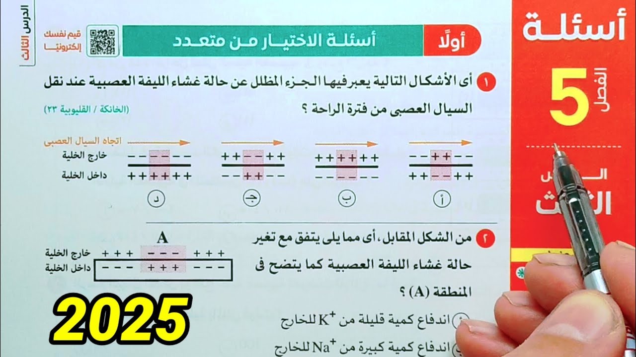 حل أسئلة السيال العصبى احياء ثانية ثانوى الترم الثاني 2025