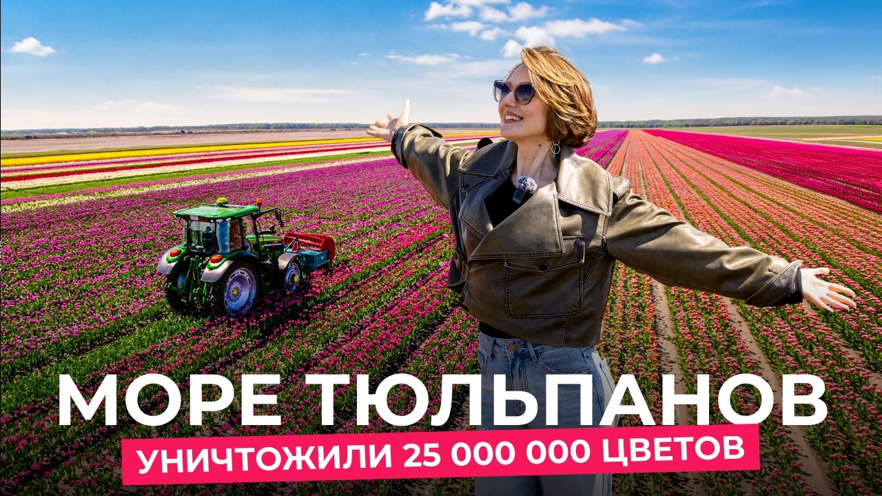 Цветочный бизнес на Полесье: миллионы цветов и John Deere
