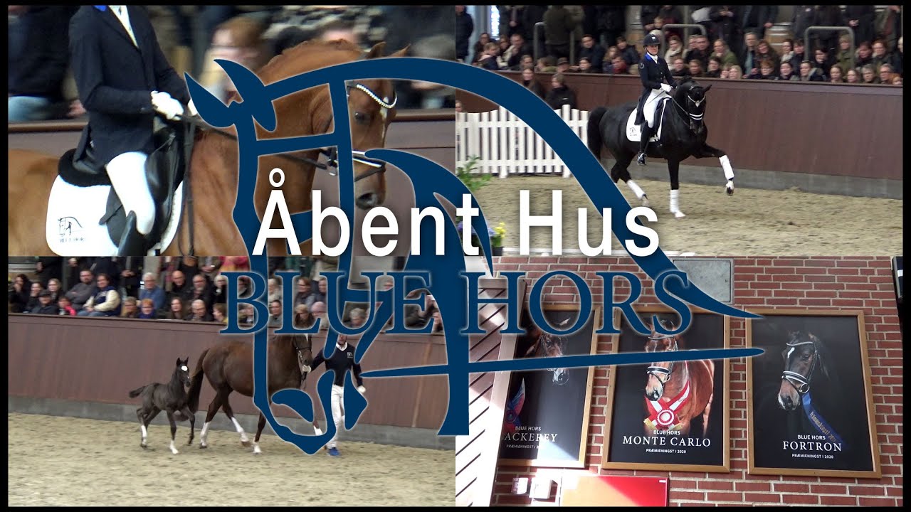 Blue Hors Åbent Hus 2022