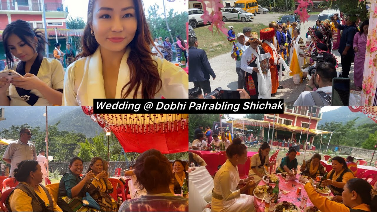 Wedding vlog // Kullu Manali // Tibetan vlogger // Dobhi Palrabling // Tibetan wedding //