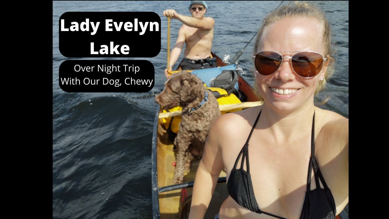 Lady Evelyn Lake Backcountry Canoe Trip With Chewy