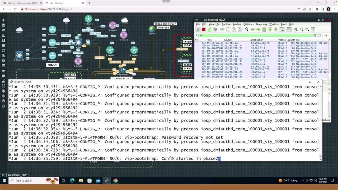 SDWAN: как использовать Wireshark для мониторинга механизмов Plug-and-Play