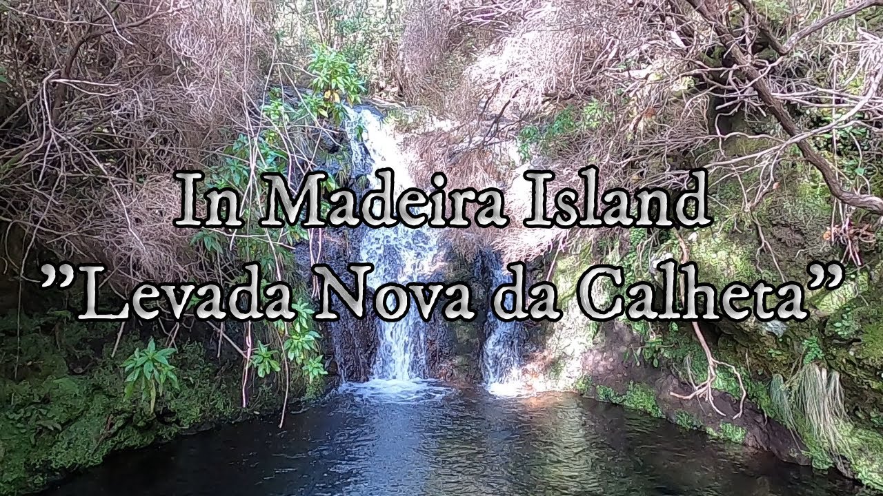 Levada Nova da Calheta, IN MADEIRA ISLAND, 06/02/2022