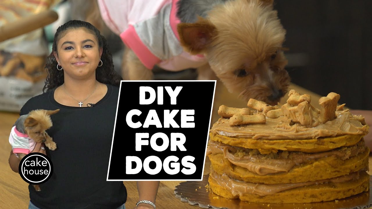 DIY Dog Cake by Cake Boss Sofia