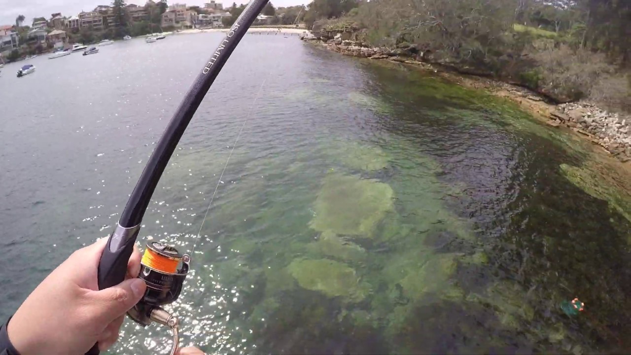 Nice trevally on Shimano ISO Limited rod 1.2 - A Master Fishing