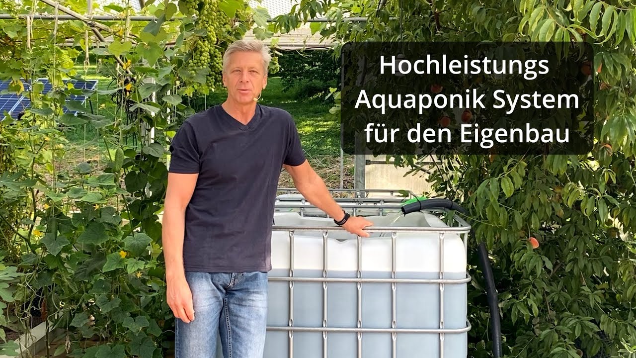 Private Aquaponik Hochleistungsanlage zum selber bauen