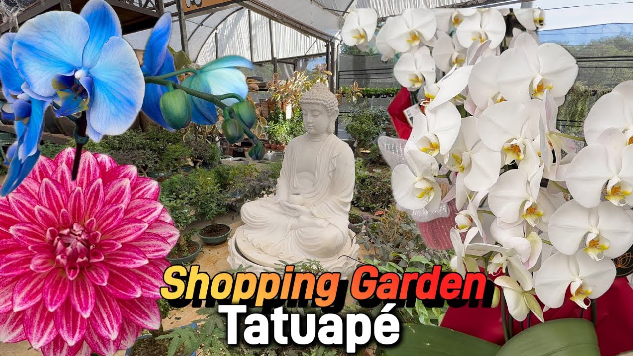 Shopping Garden Tatuapé - São Paulo
