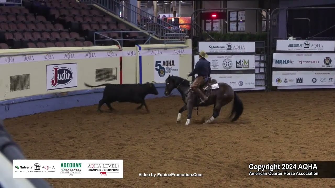 Amateur Working Cow Horse - 2024 AQHA World Championship Show