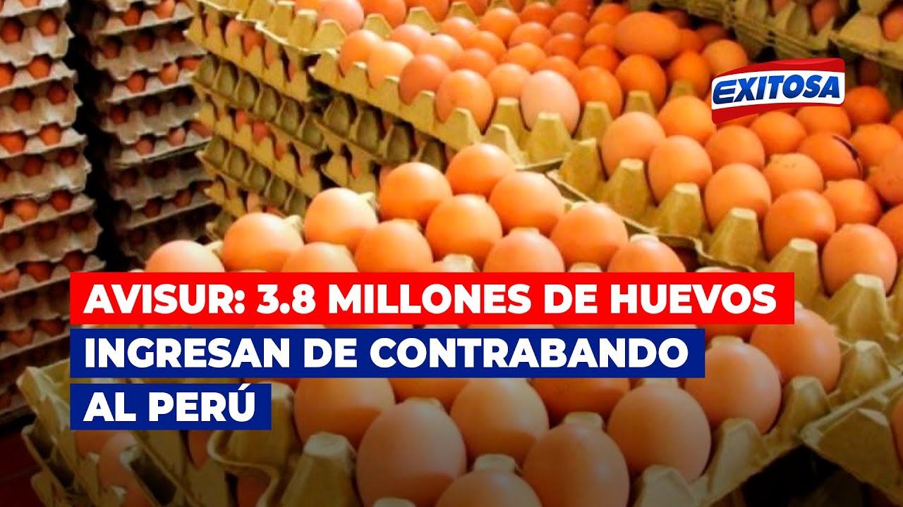 🔴🔵Avisur: Costo de producción de kilo de huevos en Perú cuesta S/ 6.70 y el de Bolivia S/ 5.60