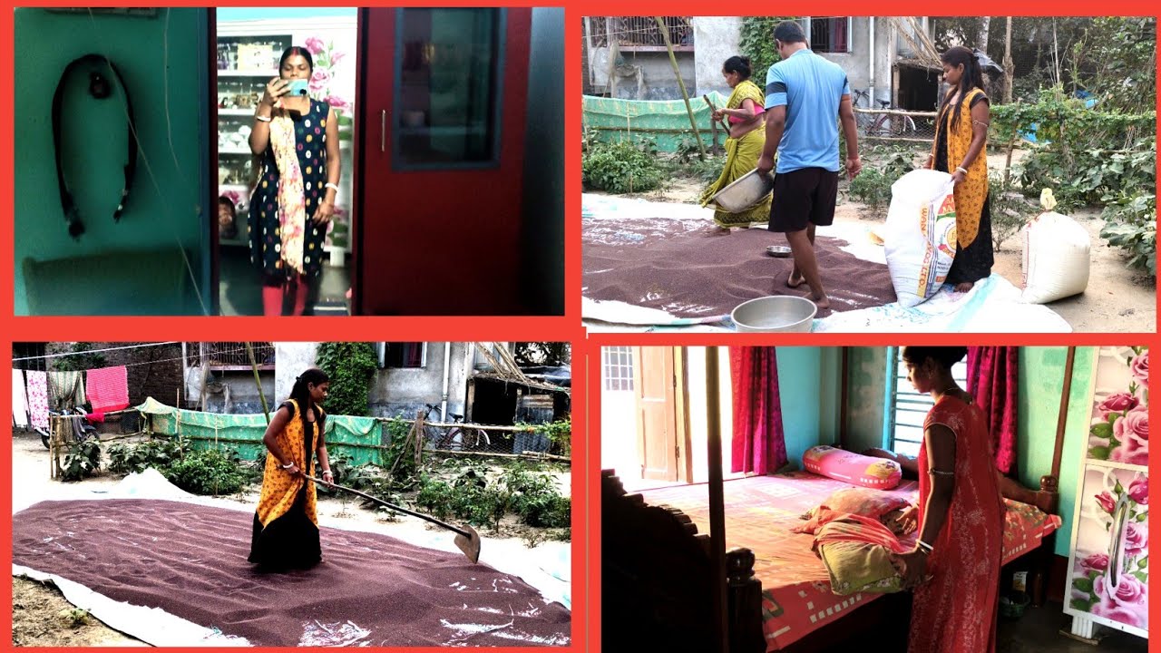 সর্ষের জমির কাজ হওয়ার পর বাড়িটা একটু পরিষ্কার করলাম 