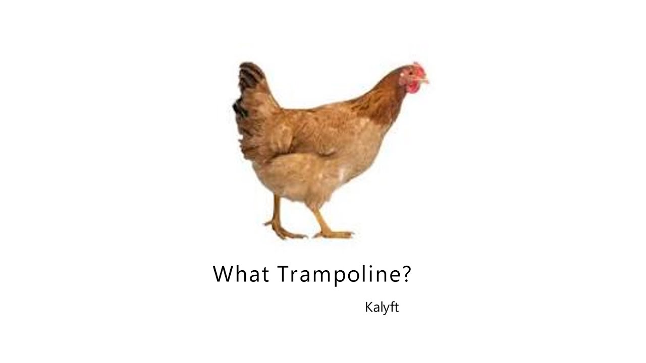 Perfect (Not a trampoline cover)
