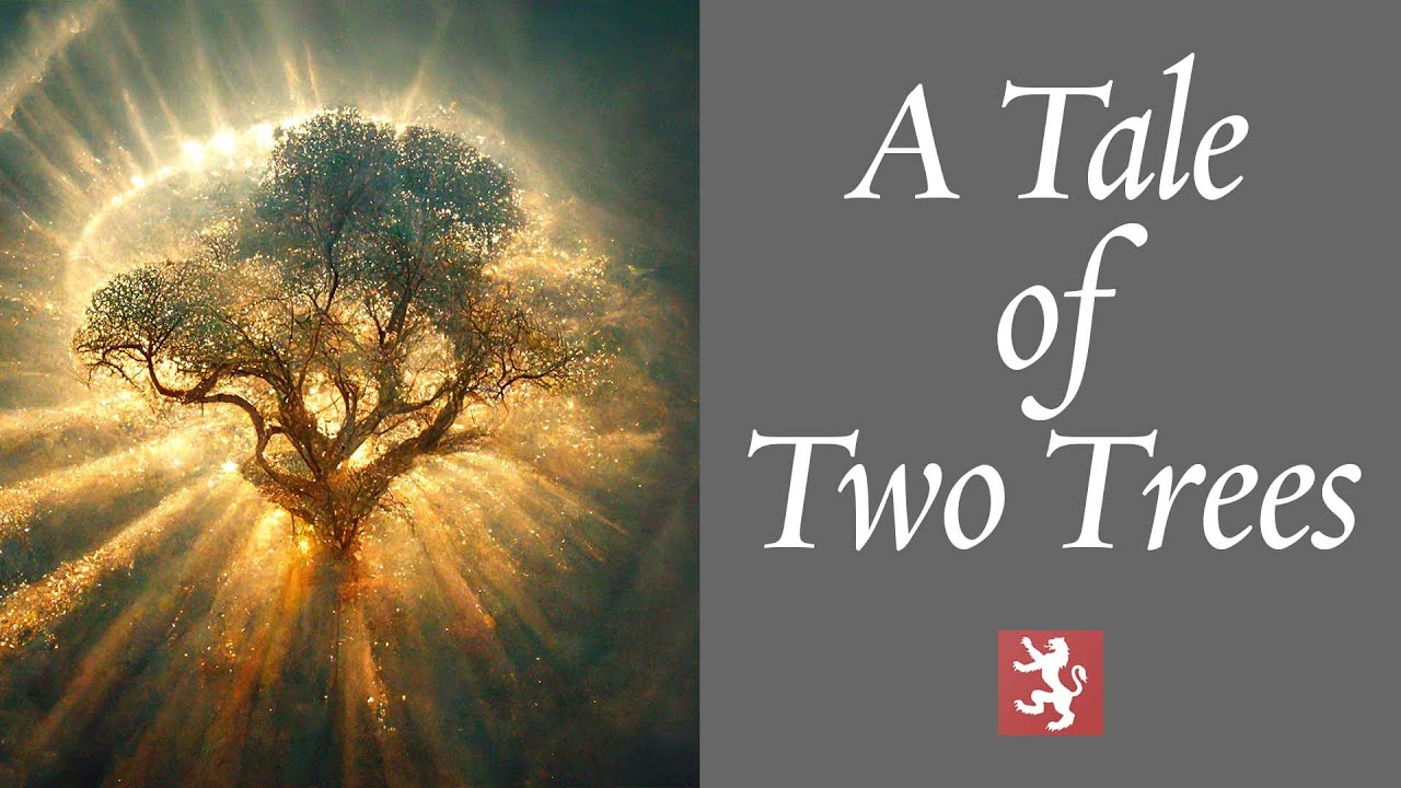 A Tale of Two Trees