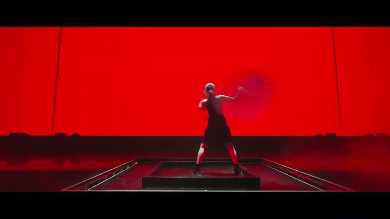 Your Color (Acheron Theme) - Honkai Star Rail Concert 2025
