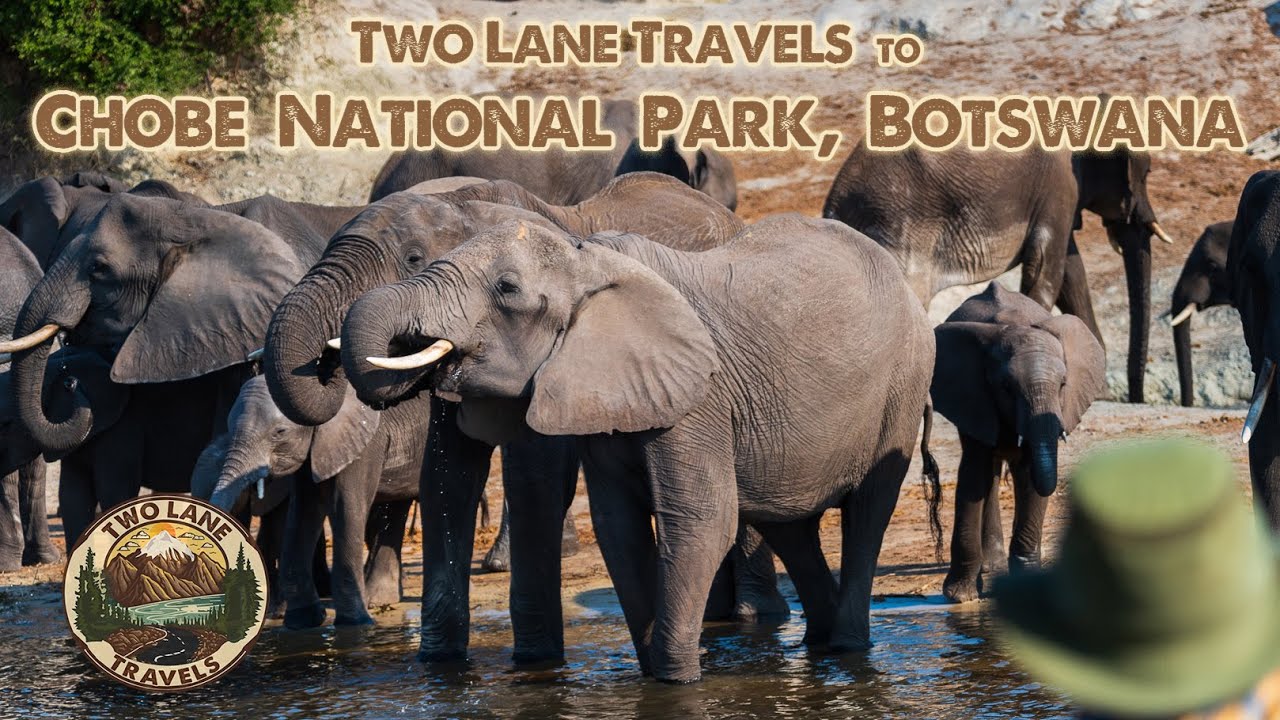 Safari Chobe National Park, Botswana - Two Lane Travels to Africa   - Episode 6