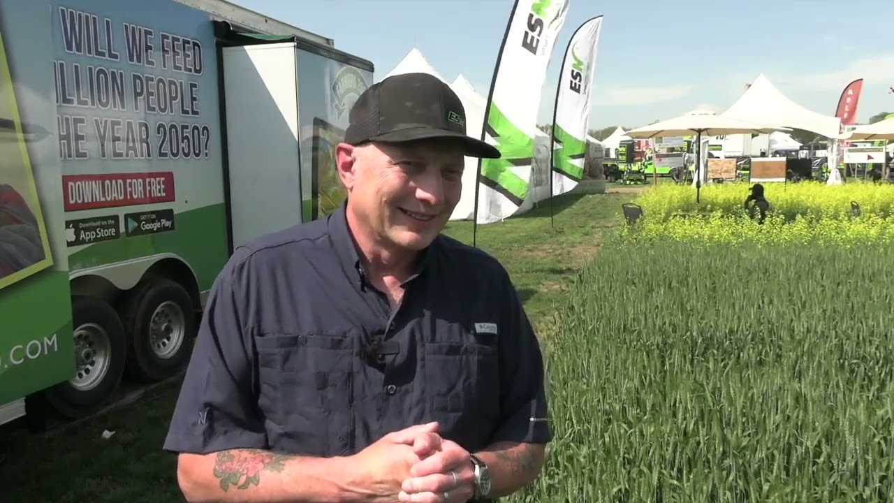 Forages are best option to tackle soil salinity