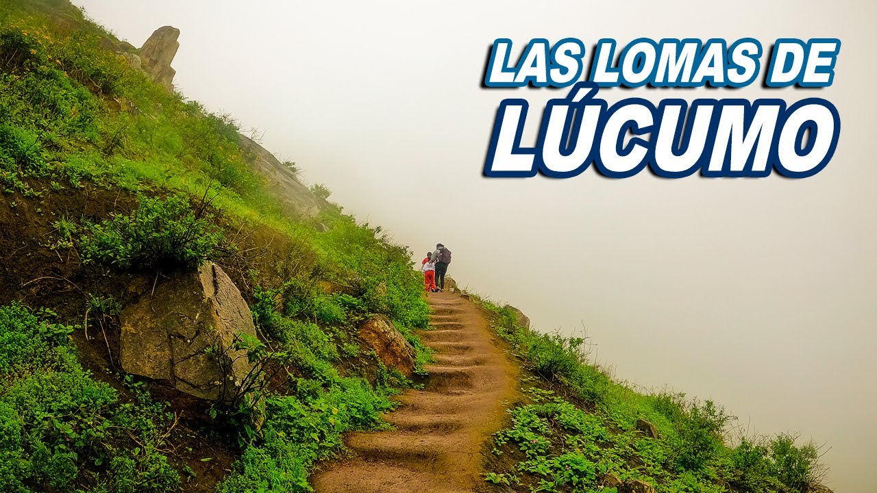 en Lima, explora el para&iacute;so de invierno perdido, Lomas de L&uacute;cumo