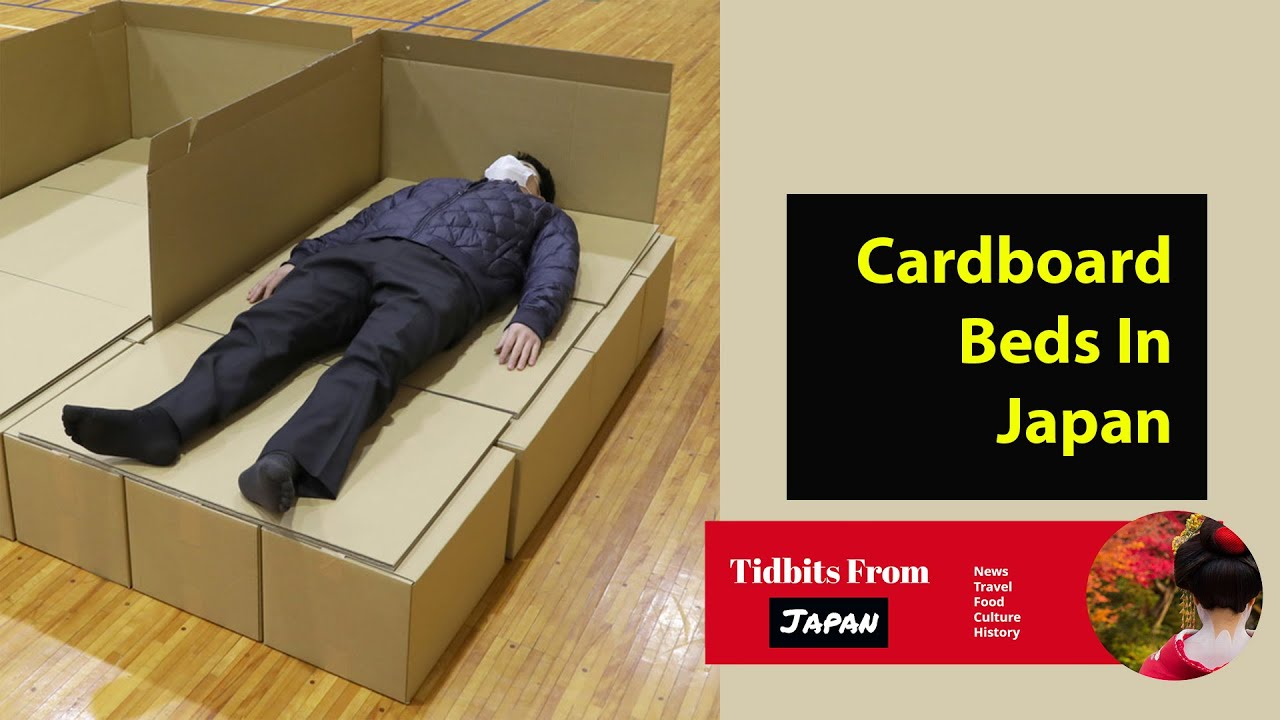 Japanese Cardboard Beds