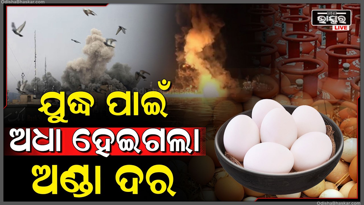 ଇରାନ-ଆମେରିକା ଯୁଦ୍ଧ ଭିତରେ ଅଧା ହେଇଗଲା ଅଣ୍ଡା ଦାମ  Egg price half because of the Iran-USA war