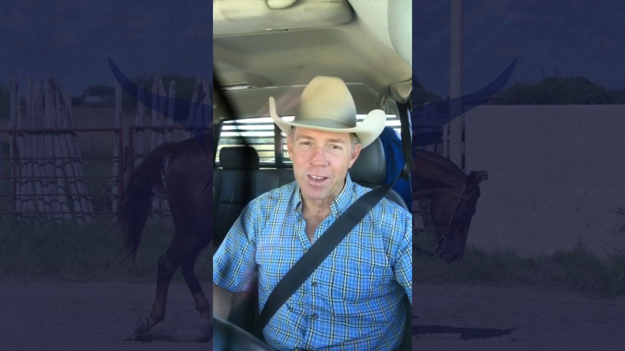 Ranch Road Series: Construction & Horsemanship