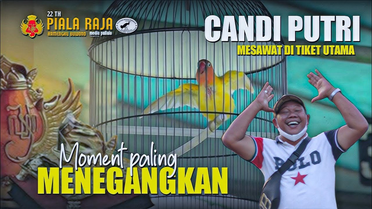 TIKET UTAMA - TEGANG !! CANDI PUTRI MESAWAT - MASIH BISA MERAIH POIN TERTINGGI JUARA 1 Piala Raja 22