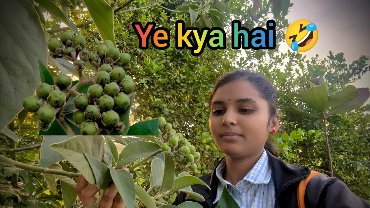 Ye kya hai 🤣 wait for end 🤣