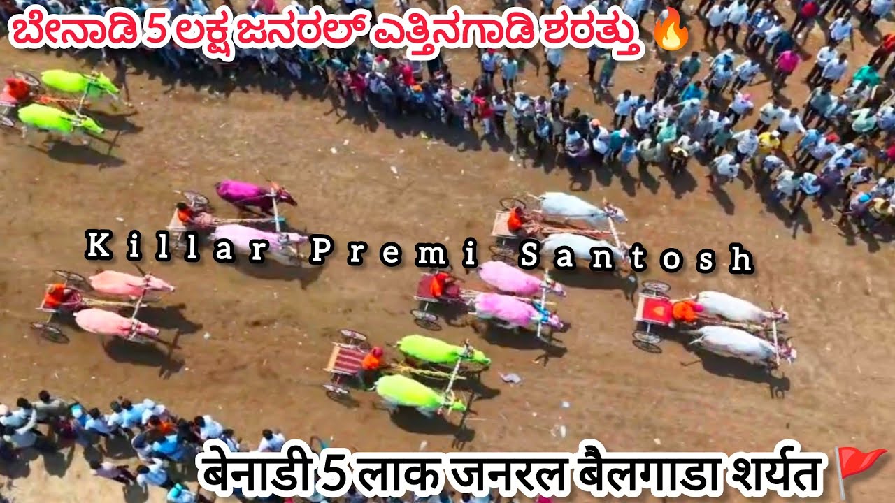 ಬೇನಾಡಿ 5 ಲಕ್ಷ ಜನರಲ್ ಎತ್ತಿನಗಾಡಿ ಶರತ್ತು || बेनाडी 5 लाक जनरल बैलगाडा शर्यत 🔥🚩#bailgadasharyat #drone 
