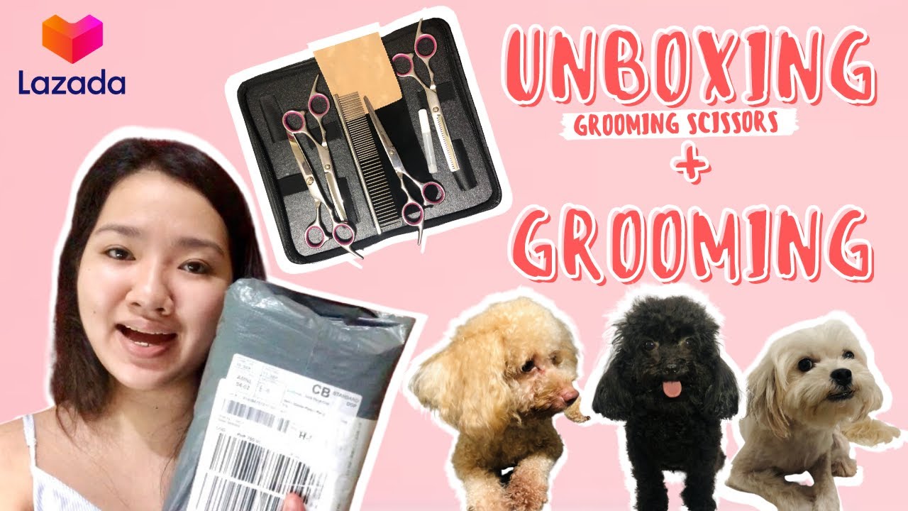 UNBOXING GROOMING SCISSORS + DOG GROOMING AT HOME
