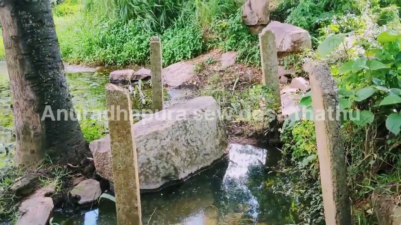 අනුරාධපුර රුවන්වැලි මහා සෑය වදින්න අදටත් නාග ලෝකයෙන් මනුස්ස වෙස් ගත් නාගයින් එන දොරටුව බලන්න