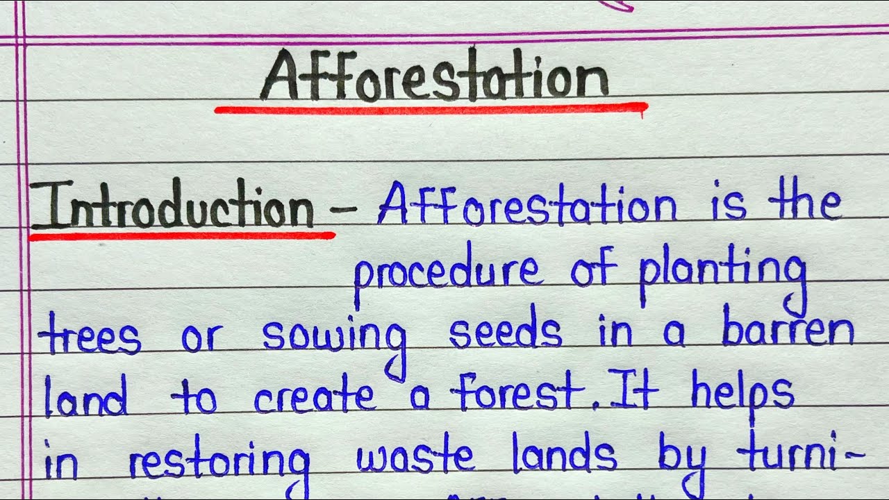 Afforestation essay in english || Essay on afforestation for students