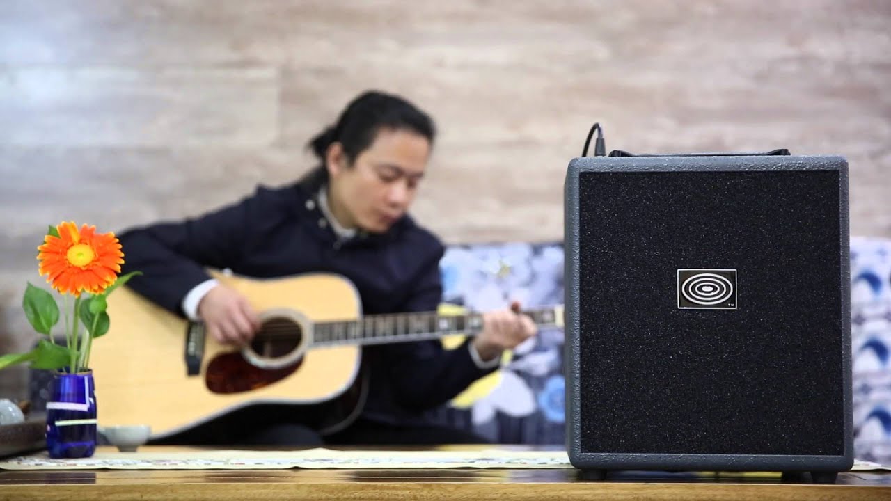 Schertler David Classic amplifier