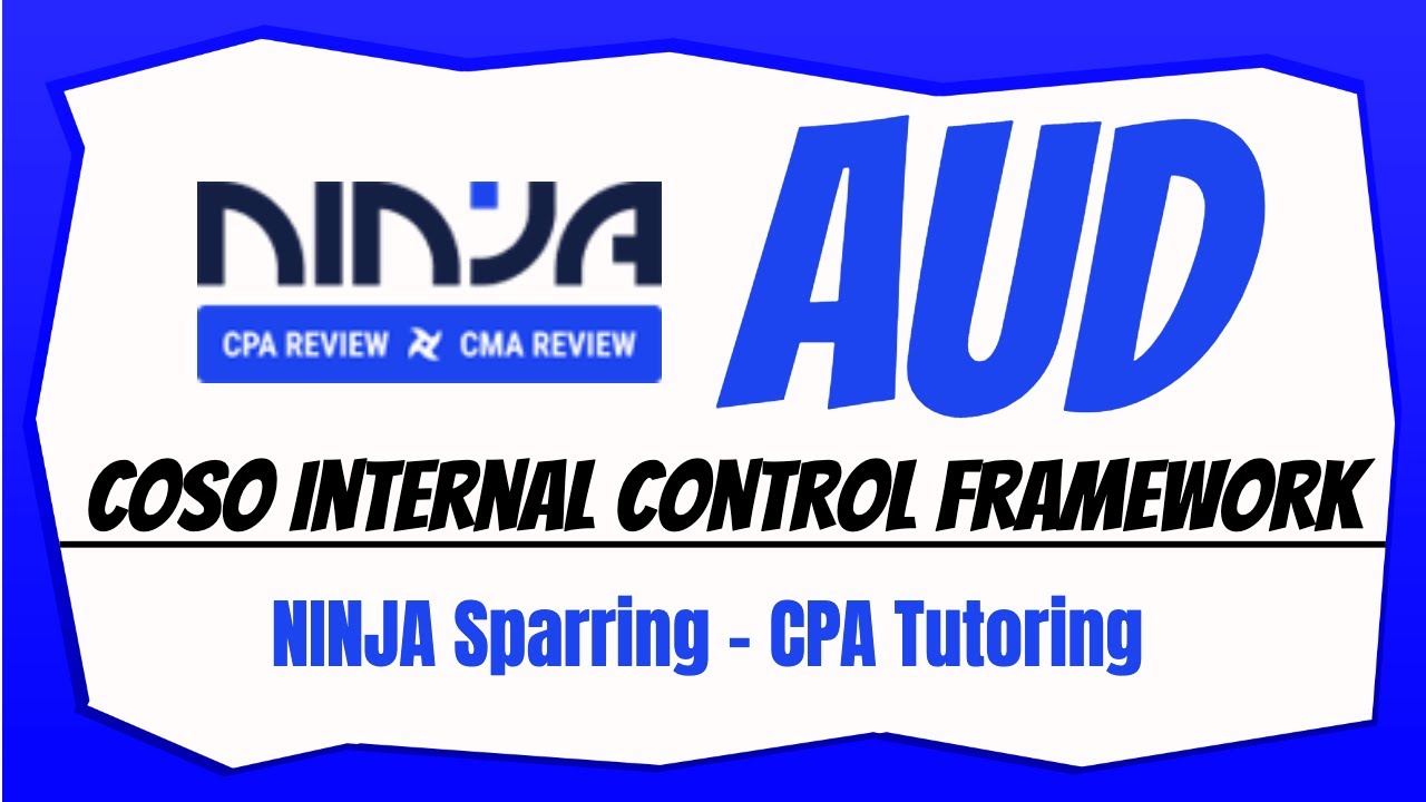 AUD CPA Exam Tutoring | COSO Internal Control Framework