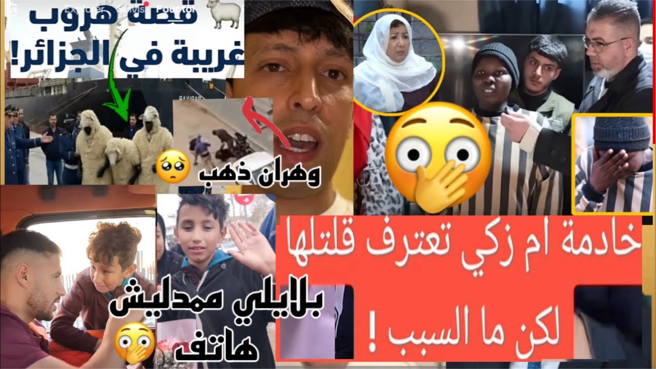 بلا يلي لم يحقق حلم طفل؟ خادمة أم زكي تكشف- توقيف هاربين ب جلد الأغنام؟ وهران سرقة ذهب؟
