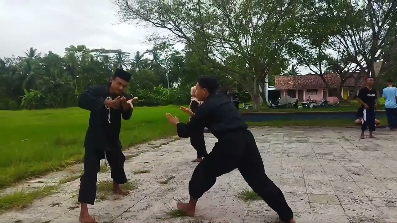 Tekhnik/Gerak/Langkah Sambung PSHT || Solospel seni Bertarung.