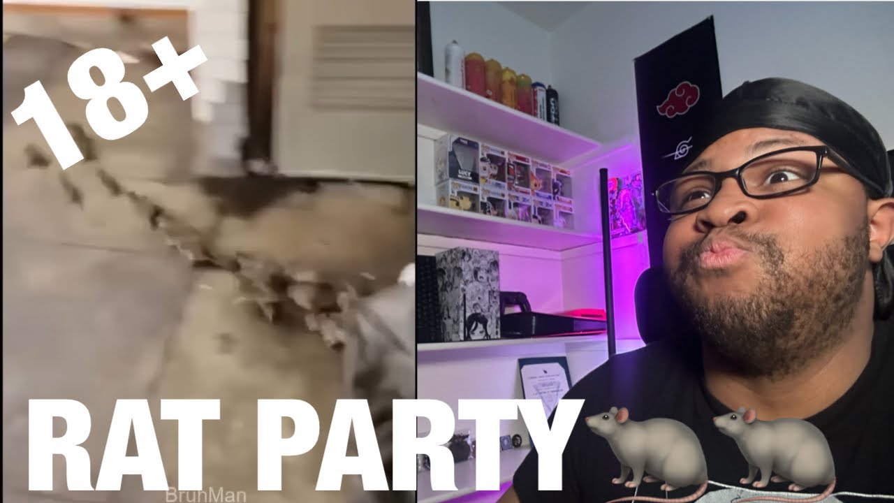 AN offensive memes TRY NOT TO LAUGH