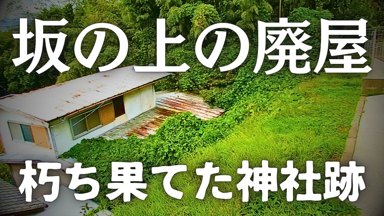 【朽ち果てた廃屋】藪の中の空き家と忘れられた神社の謎、北九州市の坂の上の街を歩く