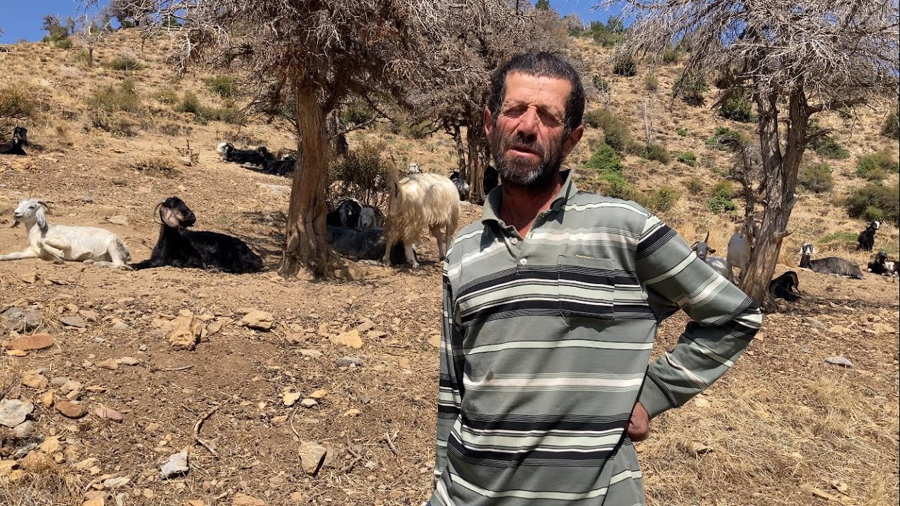 60 Yaşında 300 Küçükbaşla Yaylada Yaşam Mücadelesi ! Konya Bozkır