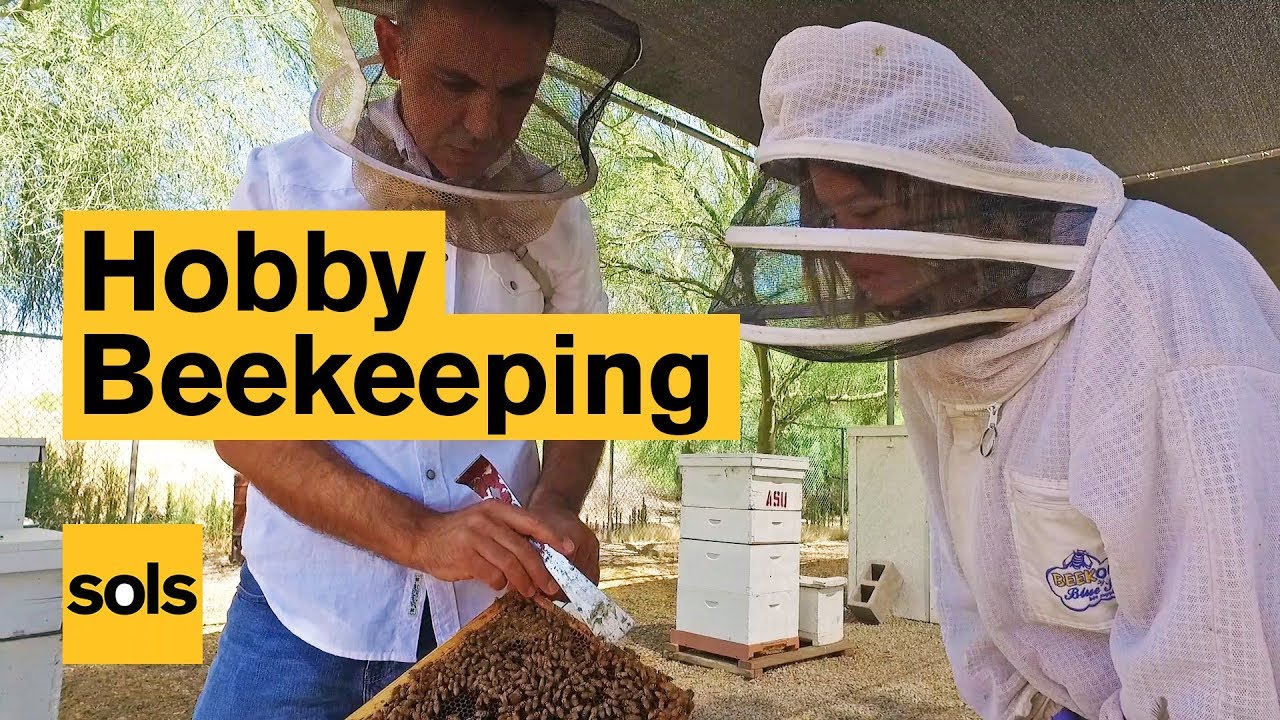ASU Hobby Beekeeping Courses