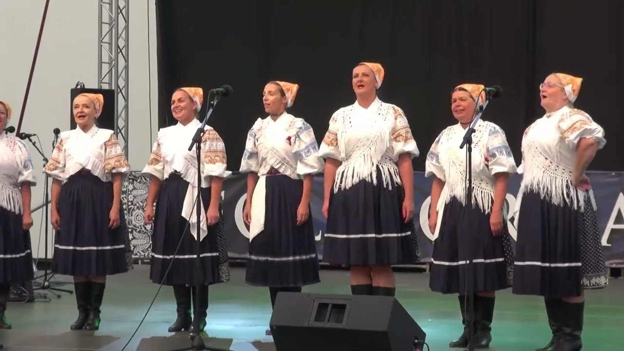 Zaspievaj si ľudovku 28 -  FS PARTIZÁN z Banskej Bystrice