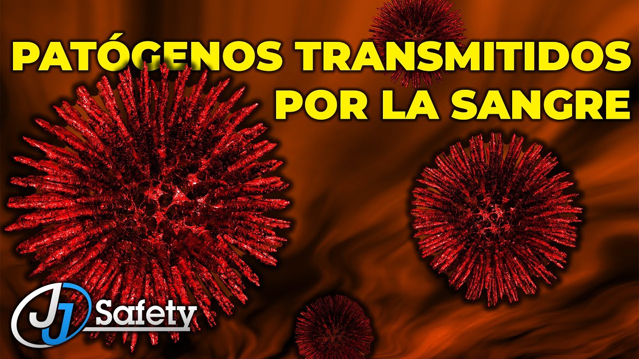 Patógenos Transmitidos Por la Sangre: Protegiendo su Salud [Toolbox Talk]
