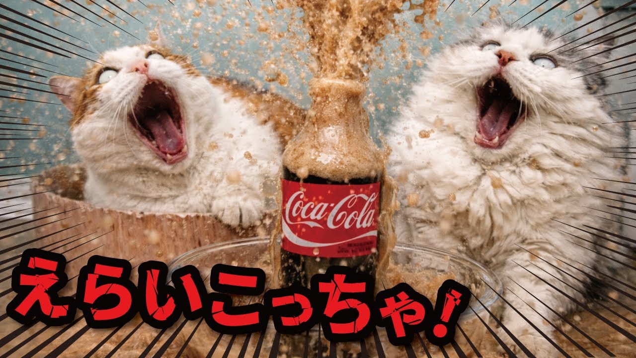 コーラにメントスほりこんだらえらいことなっても〜たがな！！！