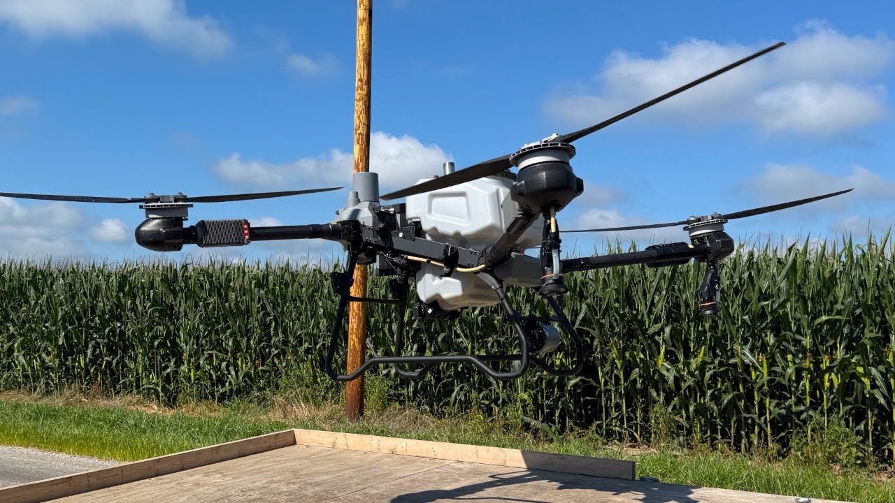 Corn Flattened by Wind—Can a Spray Drone Save the Crop?