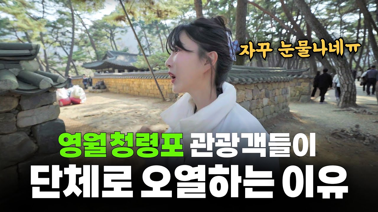 영화 '왕과사는남자&lsquo; 때문에 난리난 강원도 영월, 직접 가 본 냉정한 솔직후기