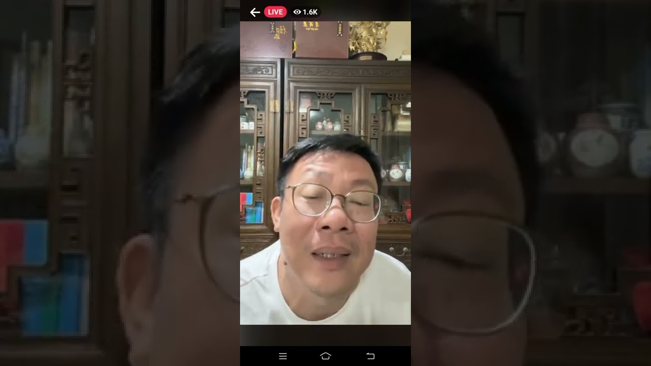 台地茶炒作品牌，古树茶炒作山头