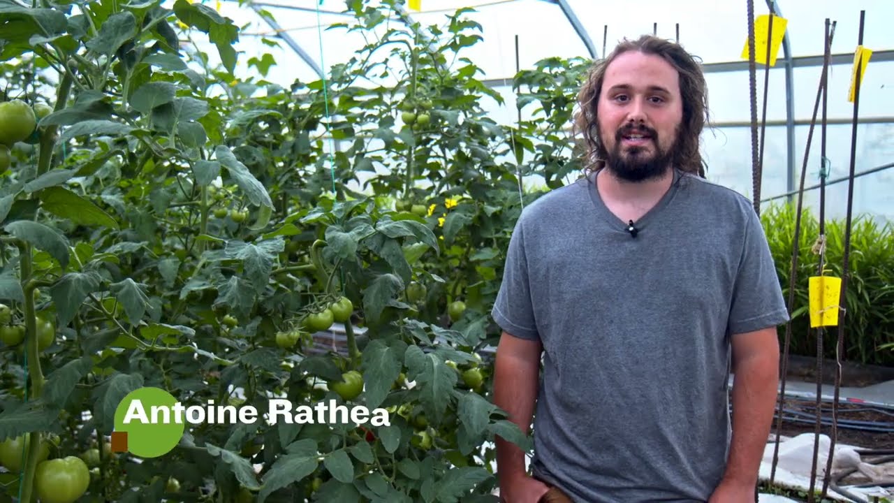 Producteur du mois : Jardins d'Inverness