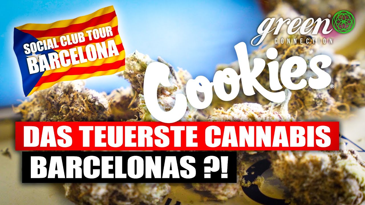 High-Grade Bl&uuml;ten aus Kalifornien | Cereal a la Mode - COOKIES