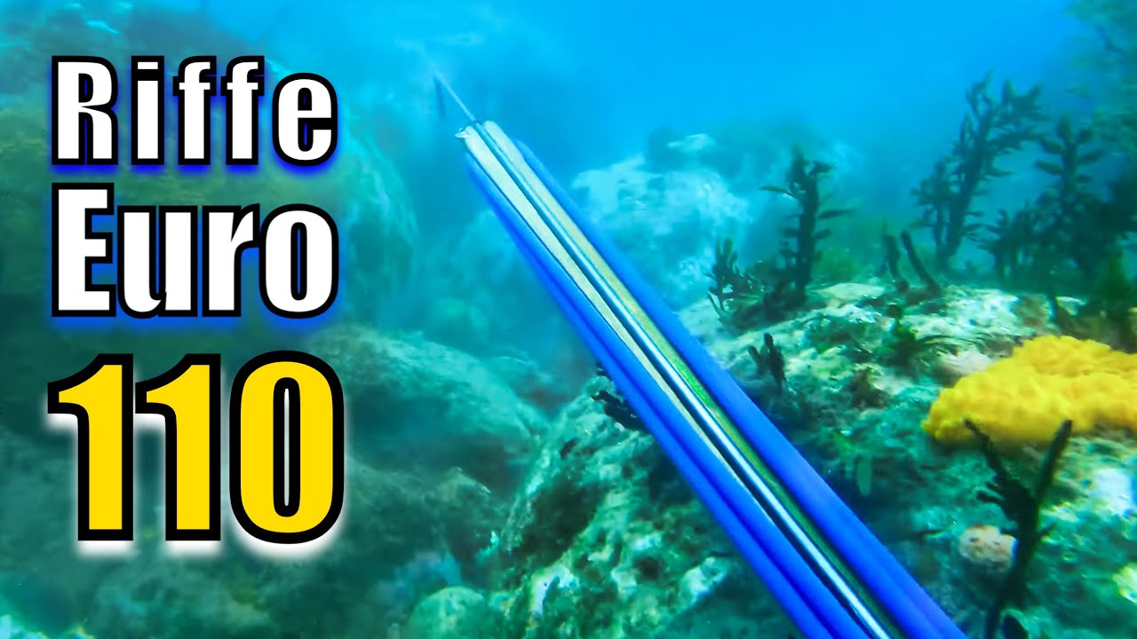 RIFFE EURO 110! Spearfishing Catch and Cook