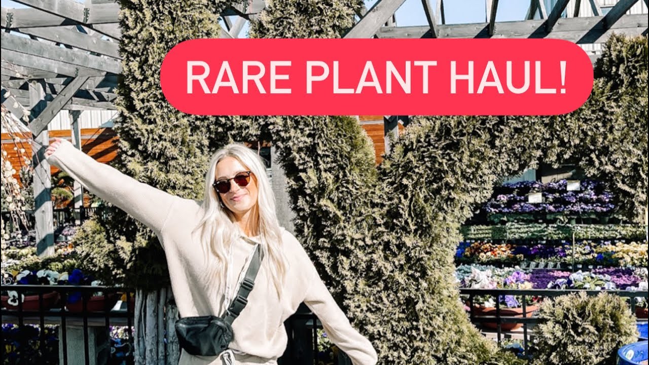 Rare plant haul!