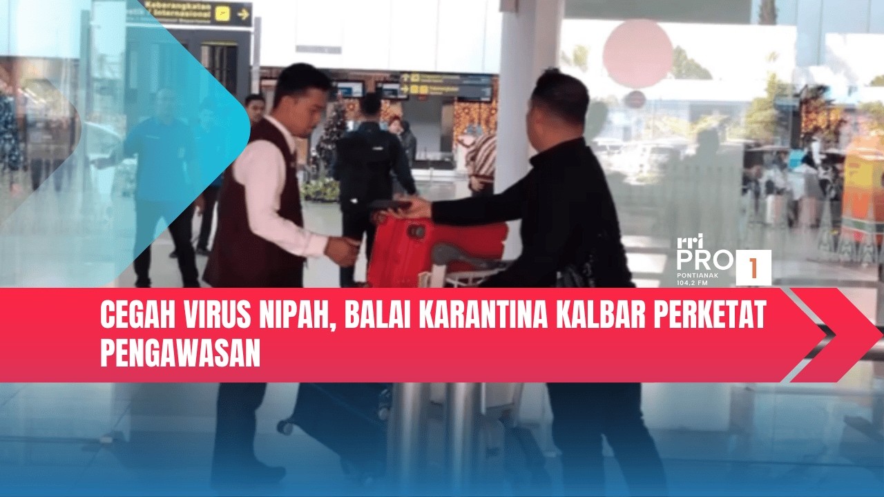 Cegah Virus Nipah, Balai Karantina Kalbar Perketat Pengawasan