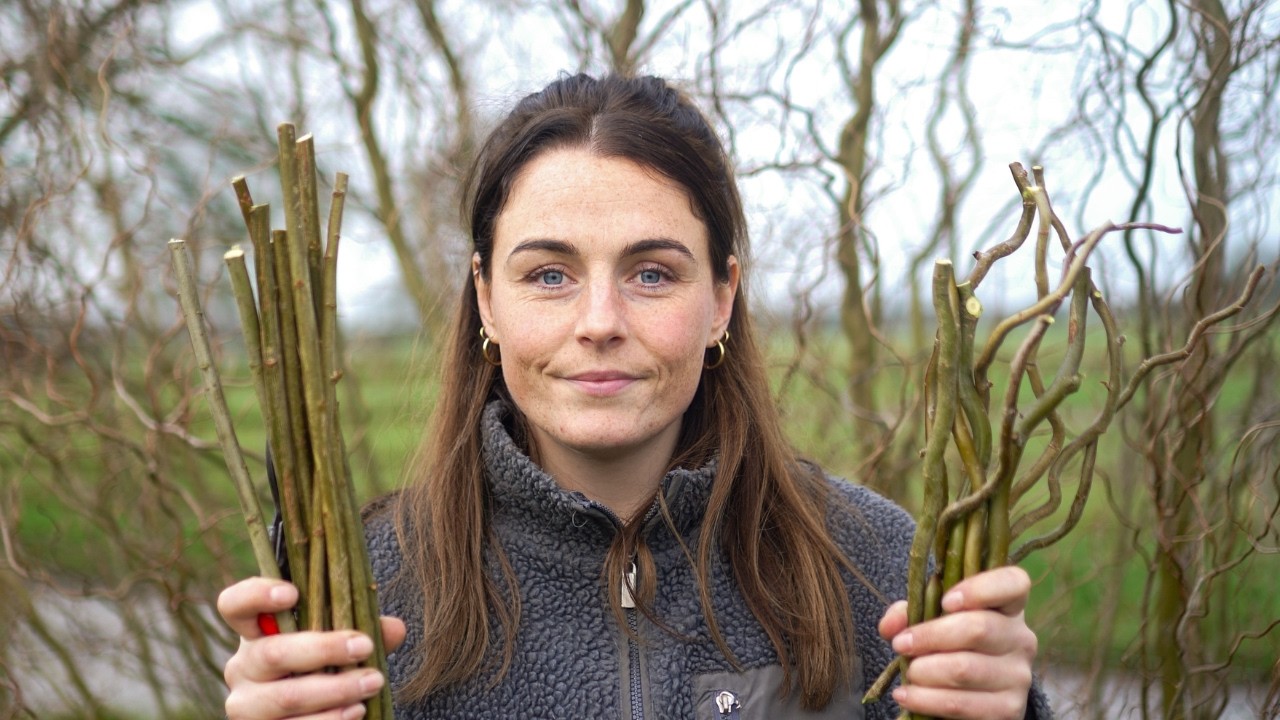 Can Willow Fix My Farm's Problems?